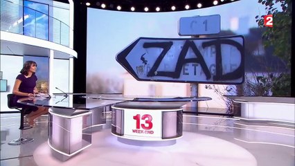 Notre-Dame-des-Landes : la "route des chicanes" revient à la normale