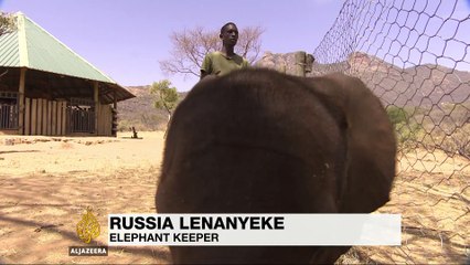 Kenyans help keep vulnerable elephants safe - News 2018