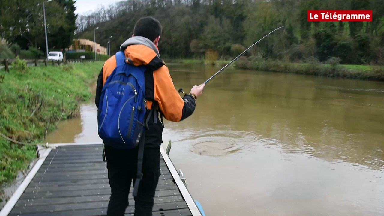 Dinan. La première prise du championnat de France de pêche