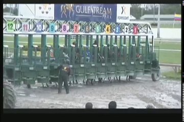 CLASICO INTERNACIONAL DE LCARIBE JALA JALA