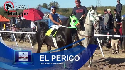 Carreras de Caballos en Cumpas, Sonora 05 de Noviembre 2016