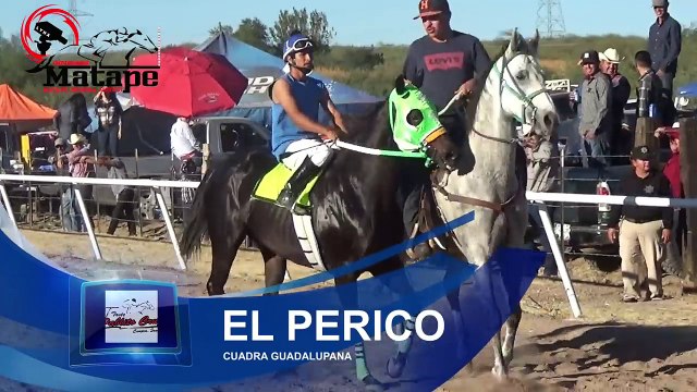 Carreras de Caballos en Cumpas, Sonora 05 de Noviembre 2016