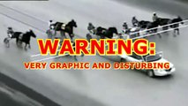 Gate Car Crashes. Horse Racing Accident Freehold Raceway