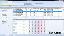 Trading on Betfair - Automated bot trading on horse racing