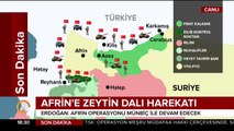 Afrin'e Zeytin Dalı Harekatı