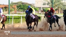 Libyan horse racing charges on despite the conflict