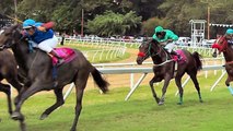 World Heritage Tourism | Barbados Holidays Polo, Horse-Racing
