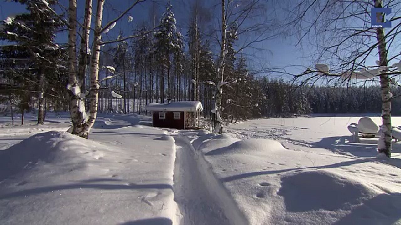 Elderly Man Has Adorable Friendship With Wild Otter