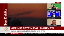 Afrin'e Zeytin Dalı Harekatı