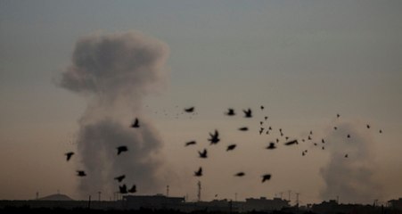 Afrin Harekatının Adı, Neden Zeytin Dalı Oldu?