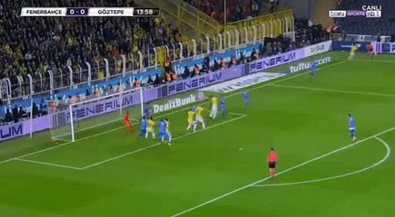 Fernandao Goal HD - Fenerbahce	1-0	Goztepe 20.01.2018