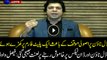 Parliament cursed over silence on Model Town incident and Dawnleaks: Faisal Vawda