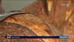 Ardennes : un boulanger réinvente le "pain des poilus"