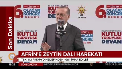 Afrin'e Zeytin Dalı Harekatı