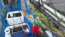 EU electric pulse fishing ban delivers blow to Dutch fishermen