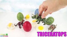 Dinosaurs Eggs 3D Puzzle - Learn Dinosaurs Names for Kids. Surprise Eggs fun Learning DIY Dinosaur.