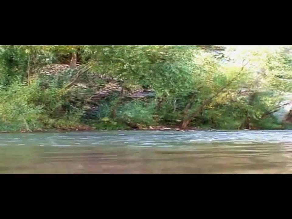 Diljen Roni - Selimo Leylo (Official Video)