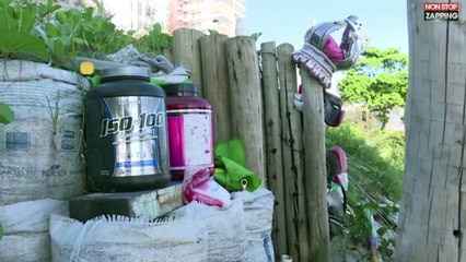 Brésil : Depuis 22 ans, cet homme vit dans un château de sable géant (vidéo)