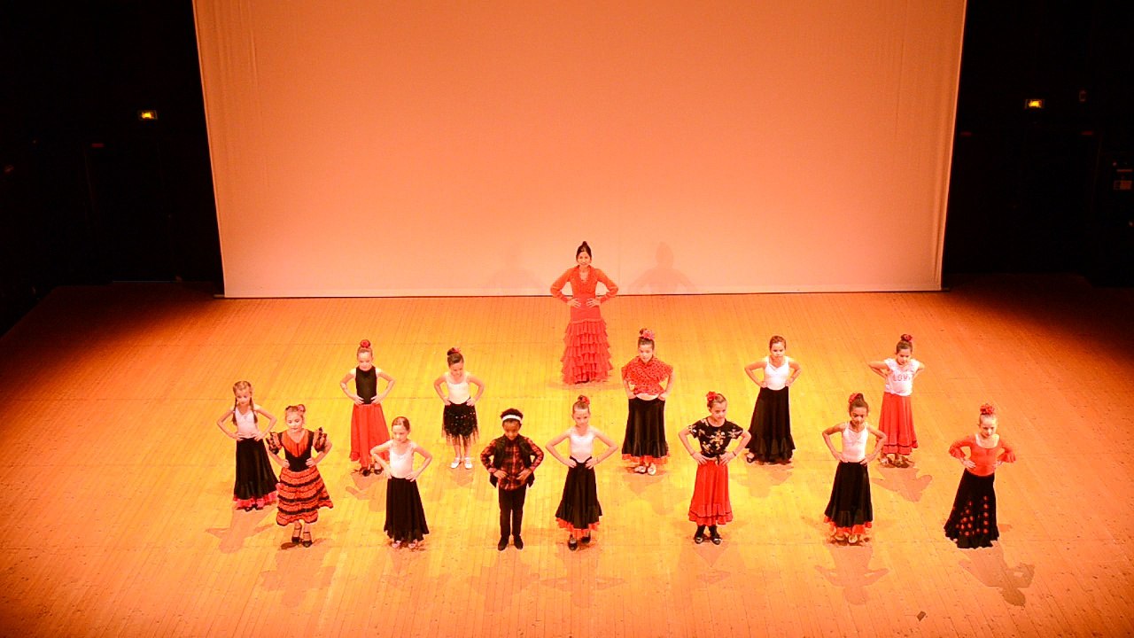 FLAMENCO 1