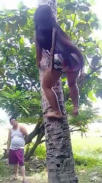 Climbing for Coconuts!