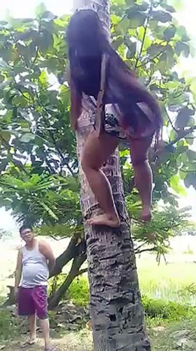 Climbing for Coconuts!