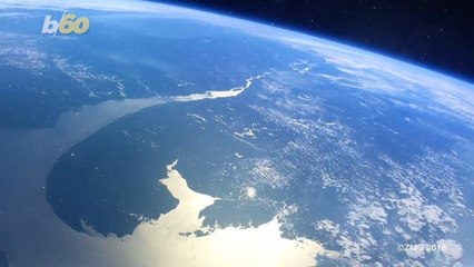 First Animals May Have Caused First Global Warming 500 Million Years Ago