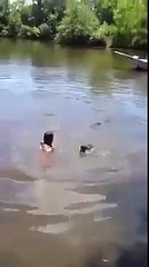 il nage dans une eau remplie d'alligators