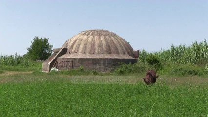 Turizëm në bunkerët gjermanë; Fermeri i Dermenasit kthehet në ciceron