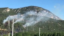 Orman Yangını - Yangın Kontrol Altına Alındı