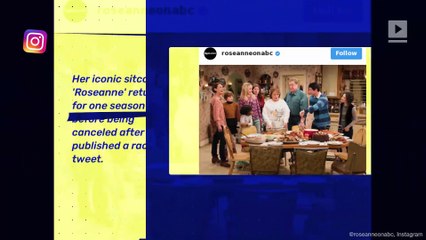 Roseanne Barr Says She Might Return to Television