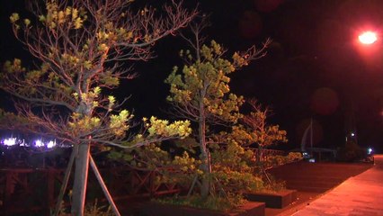 '쁘라삐룬' 북상...제주 태풍주의보 내려져 / YTN