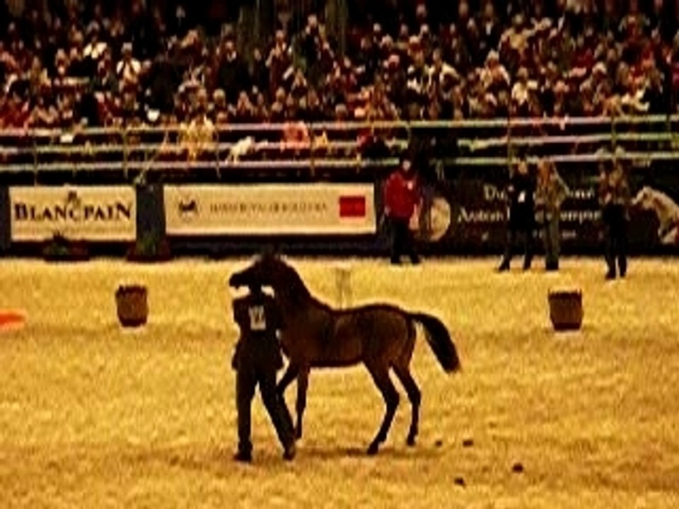 2eme championne du monde