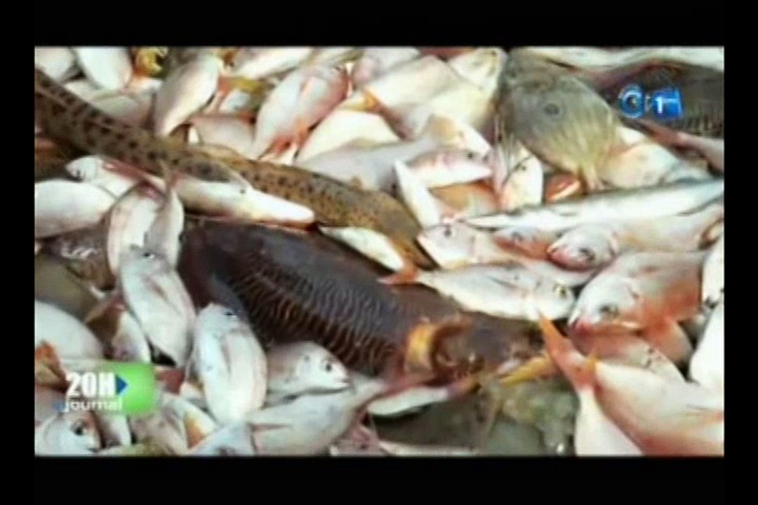 Le ministre de la pêche procède au lancement de la 3 ème session de l’opération Albacore