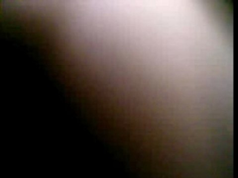 polak en mode tektonik