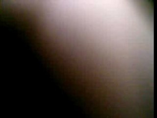 polak en mode tektonik