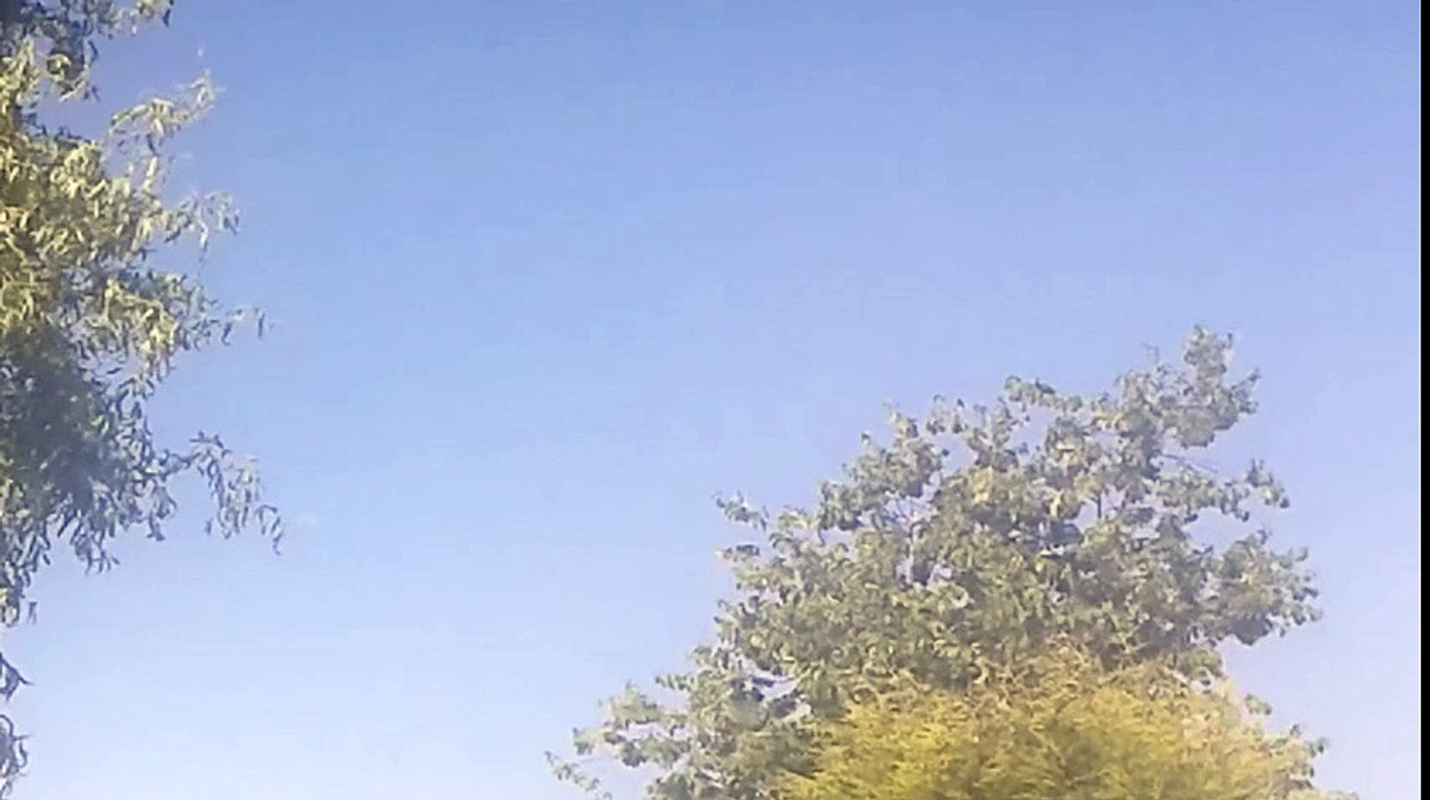 Footage of a Summer Blue Sky with not a Cloud in Sight