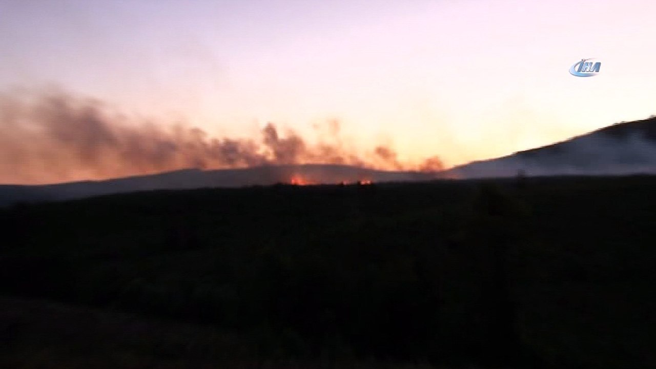Aydos Ormanı'nda yangın
