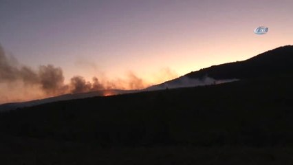 Aydos Ormanı'nda Yangın