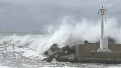 '쁘라삐룬' 북상...제주 앞바다 태풍 경보 / YTN
