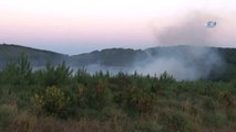 Aydos Ormanı'nda Yangın... Çok Sayıda İtfaiye Ekibi Yangına Müdahale Ediyor