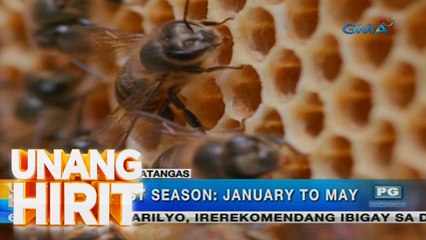 Unang Hirit: Bee-autiful Morning sa Bee Farm