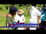 Gajah Betina Mati Ditemukan di Taman Nasional Kerinci Seblat - NET10