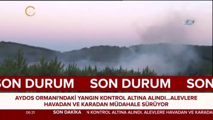 Havadan ve karadan müdahale sürüyor