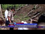 Bangkai Gajah Betina Ditemukan di Taman Nasional Kerinci - NET 5