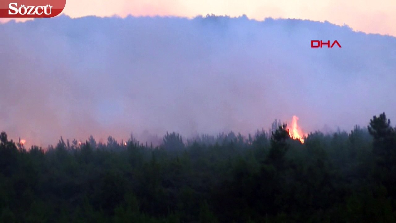 Aydos Ormanları’nda yangın