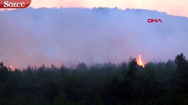 Aydos Ormanları’nda yangın