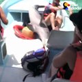 When a dolphin jumped into these people's boat, they had NO IDEA what to do — but they had to figure it out fast.