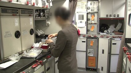 협력사 대표 죽음까지...아시아나 '기내식 대란' 왜? / YTN