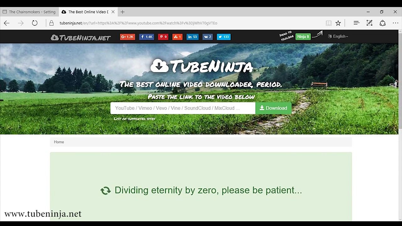 A Fair Perspective on Youtube Downloader