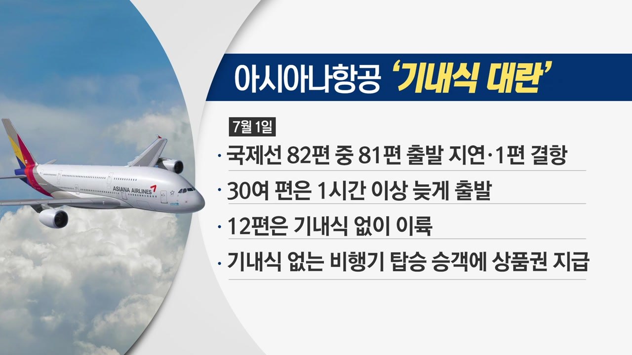 아시아나항공 '기내식 대란'...원인은? / YTN